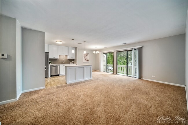 115 Sussex Cir in Schaumburg, IL - Building Photo - Building Photo