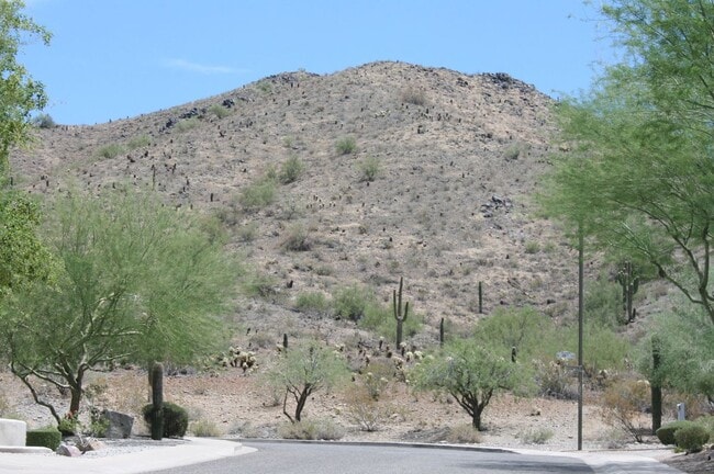 2006 W Duane Ln in Phoenix, AZ - Foto de edificio - Building Photo