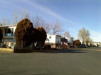 Silver Crown Mobile Home Park in Sun Valley, NV - Foto de edificio - Building Photo