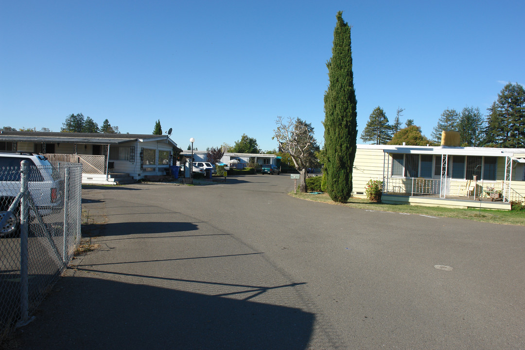 3127 Santa Rosa Ave in Santa Rosa, CA - Building Photo