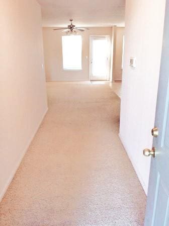 2223 W Deane St in Fayetteville, AR - Building Photo - Building Photo