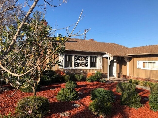 22643 Collins St in Los Angeles, CA - Building Photo - Building Photo
