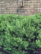 1600 Halbert St in Killeen, TX - Foto de edificio - Building Photo