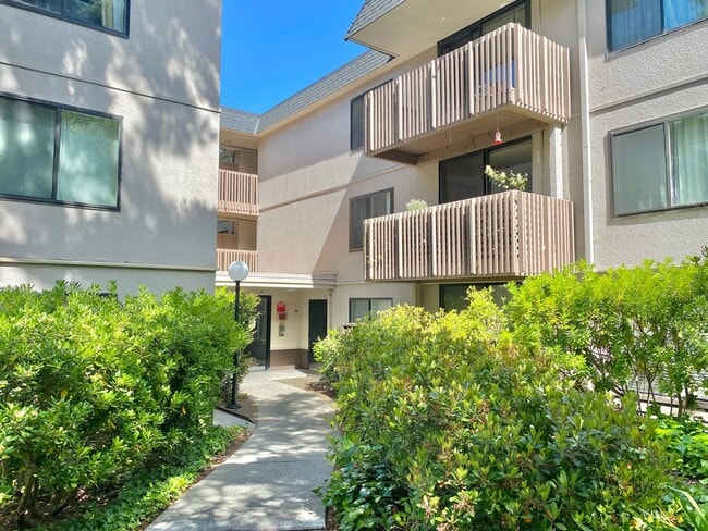 6350 Shelter Creek Ln in San Bruno, CA - Building Photo - Building Photo