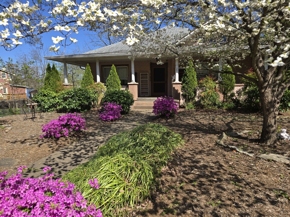 29 Westwood Pl in Asheville, NC - Foto de edificio