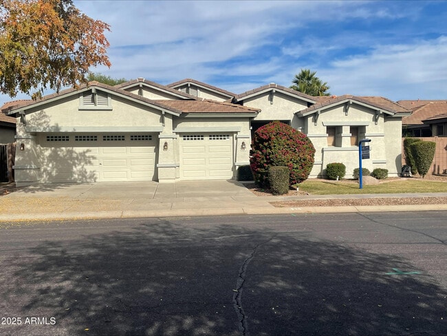 474 W Seagull Dr in Chandler, AZ - Foto de edificio - Building Photo