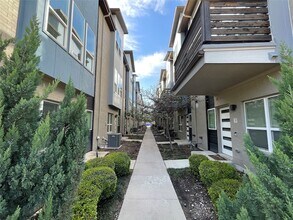 4910 Live Oak St in Dallas, TX - Foto de edificio - Building Photo