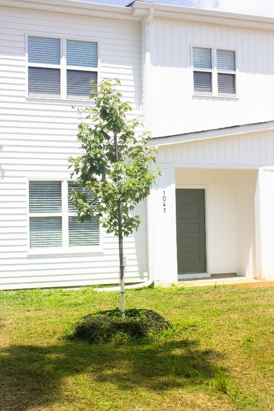 property at 1047 E Harnett St