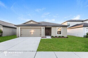 1113 Brenton Leaf Dr in Ruskin, FL - Building Photo