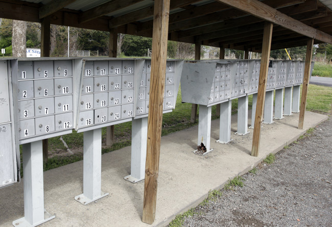 Jackson Pointe in Jacksonville, AR - Building Photo - Building Photo