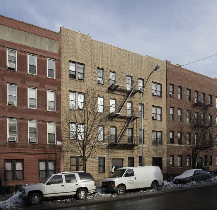 The Greenpoint House in Brooklyn, NY - Building Photo