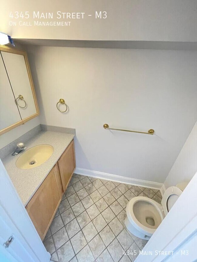 4345 Main St in Philadelphia, PA - Building Photo - Building Photo