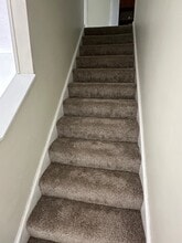 445 Cedar Dr in Moon Township, PA - Building Photo - Building Photo