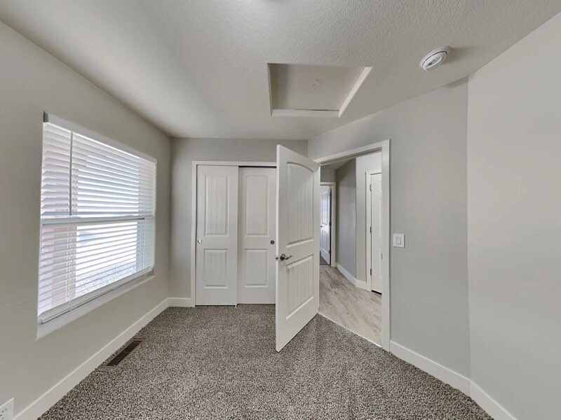 1143 White Stone Way in Fountain, CO - Building Photo