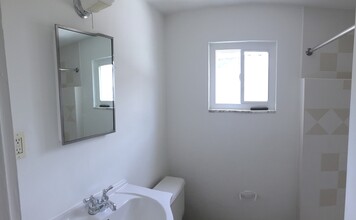 1001 Hansen St in Millvale, PA - Building Photo - Building Photo