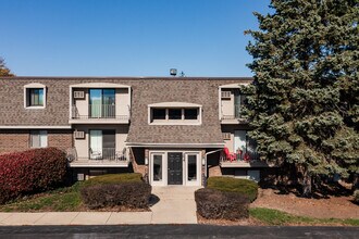 Olive Tree Condos in Naperville, IL - Building Photo - Building Photo