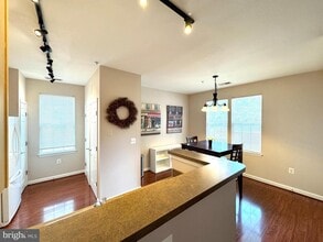 42435 Hollyhock Terrace in Ashburn, VA - Building Photo - Building Photo