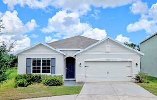 35525 Stella Vast Dr in Zephyrhills, FL - Building Photo
