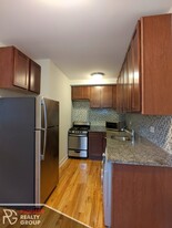 535 W Arlington Pl, Unit 508 in Chicago, IL - Building Photo - Building Photo