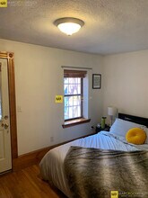 39 E Springfield St, Unit 1 in Boston, MA - Building Photo - Building Photo