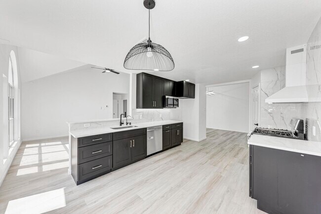 917 Satellite View in Round Rock, TX - Building Photo - Building Photo