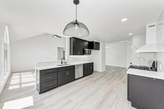 917 Satellite View in Round Rock, TX - Building Photo - Building Photo