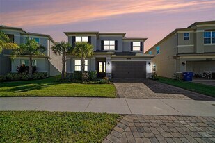 3254 Woodland Brk Wy in Wesley Chapel, FL - Building Photo
