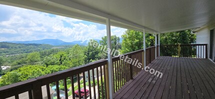 11 Wayside Rd in Asheville, NC - Building Photo - Building Photo