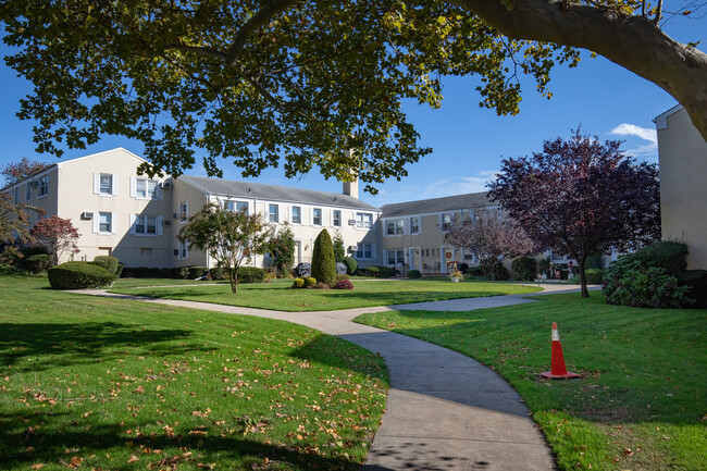 71-36 Rd in Bellerose, NY - Foto de edificio - Building Photo