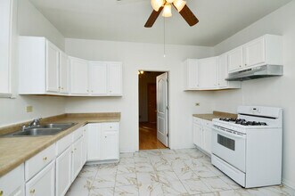 1154 W 17th St in Chicago, IL - Building Photo - Building Photo