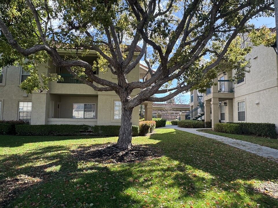 10656 Aderman Ave in San Diego, CA - Foto de edificio