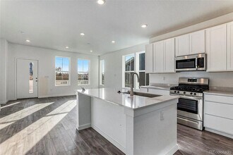 1536 Sanitas Ln in Lafayette, CO - Building Photo - Building Photo