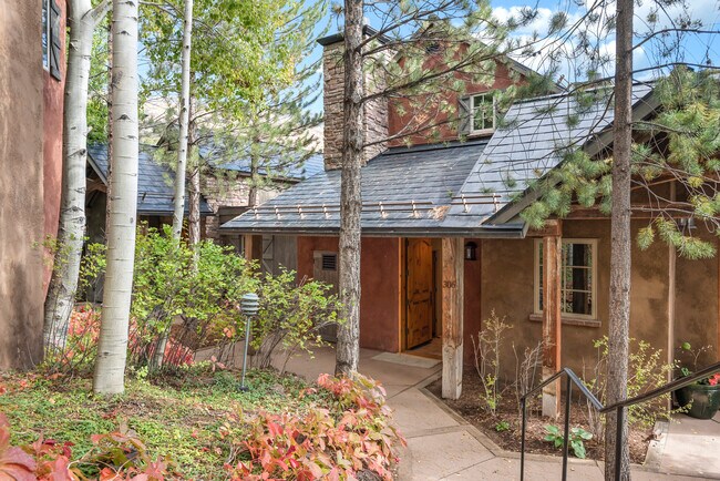 306 Wild Spring Ln in Basalt, CO - Building Photo - Building Photo