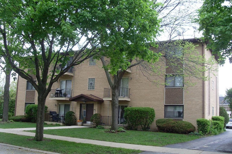 1029 S Evergreen Ave in Arlington Heights, IL - Foto de edificio