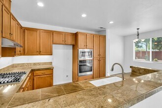 1067 Princess Kyra Pl in Escondido, CA - Building Photo - Building Photo