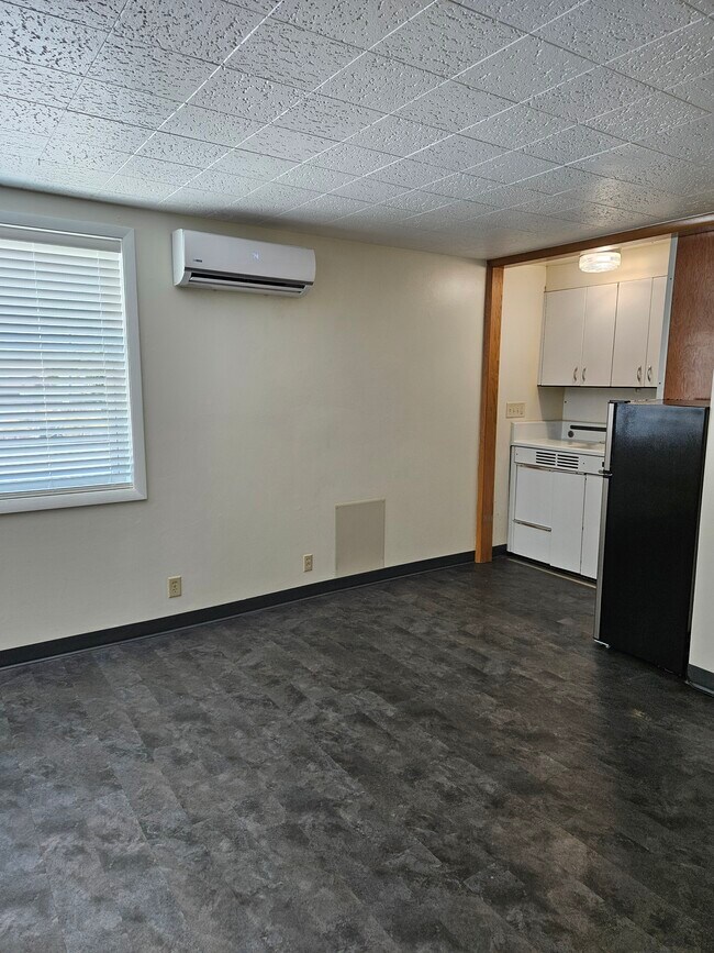 1106 W Wisconsin Ave, Unit Apt 4 in Appleton, WI - Foto de edificio - Building Photo