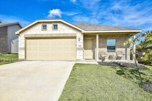 336 Dry Cyn Wy in Haslet, TX - Building Photo