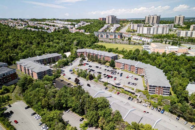 40 Charlotte Ln in Halifax, NS - Building Photo - Building Photo