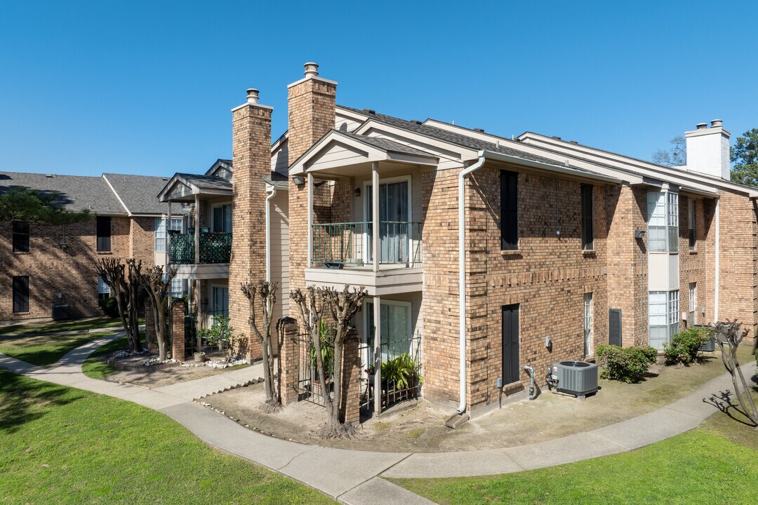 Raveneaux Forest Condominiums in Houston, TX - Building Photo