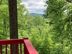 4 Granny Hughes Rd in Mineral Bluff, GA - Building Photo