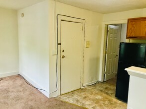 154 S Swan St in Albany, NY - Building Photo - Building Photo