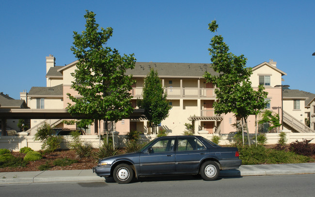 Jasmine Square in Morgan Hill, CA - Building Photo - Building Photo