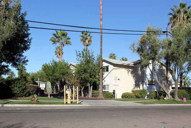 The Olive Tree Apartments