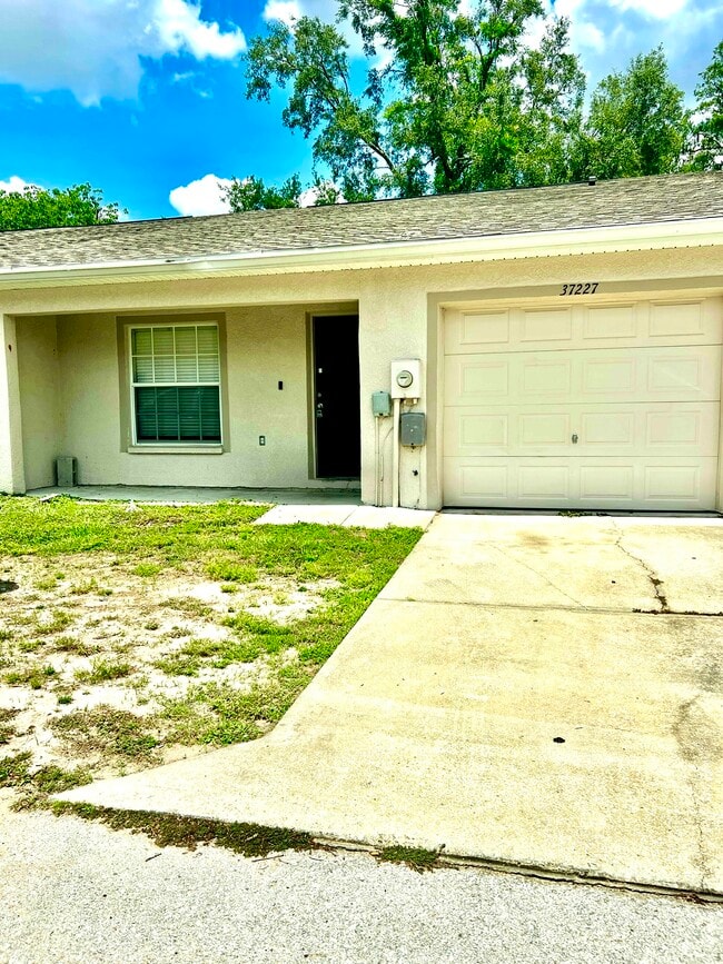 property at 37227 Grassy Hill Ln
