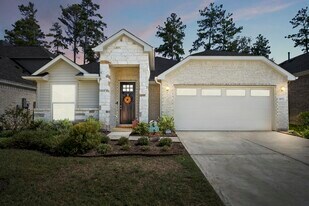 40527 Goldeneye Pl in Magnolia, TX - Building Photo