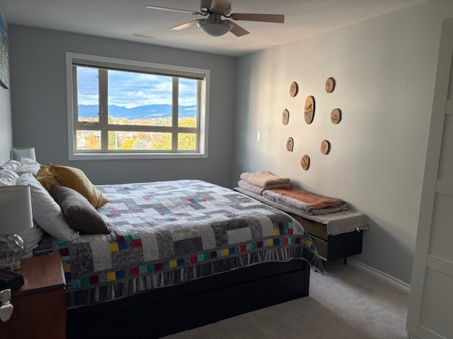 2125 Atkinson St in Penticton, BC - Building Photo - Building Photo