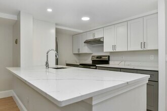 97 Appleton St, Unit A in Boston, MA - Building Photo - Building Photo