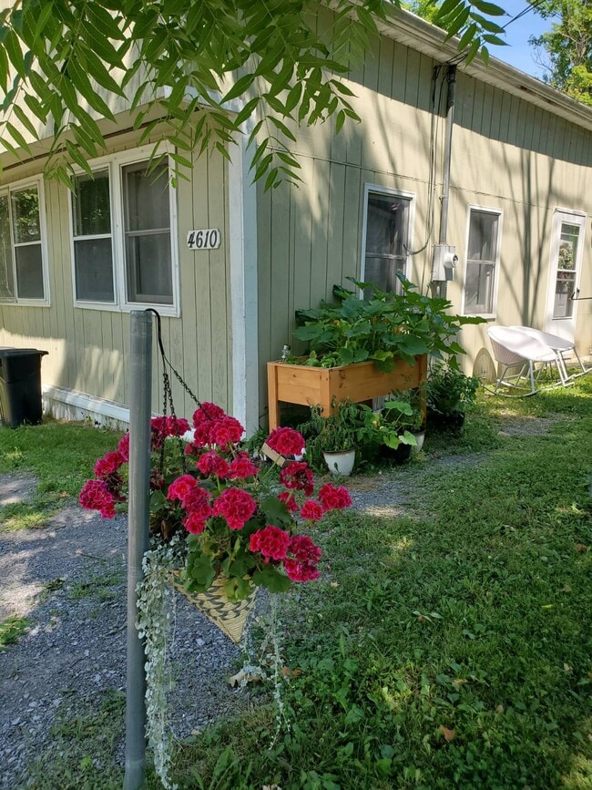 property at 4610 Bachelors Row