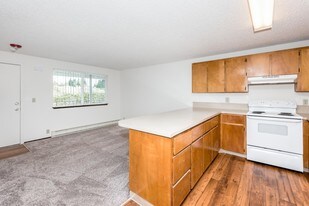 Large One Bedroom Close to Vancouver Mall Apartments