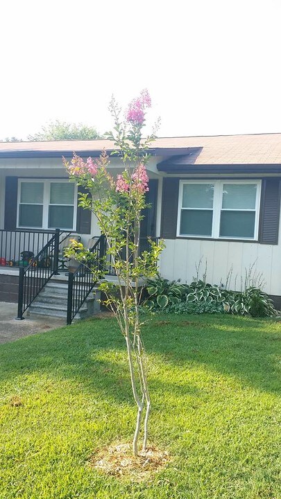 319 Arrowhead Dr in Maryville, TN - Building Photo